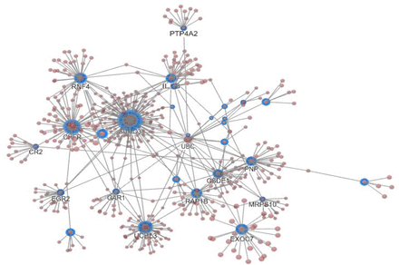 Figure 10: