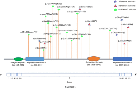 Figure 2: