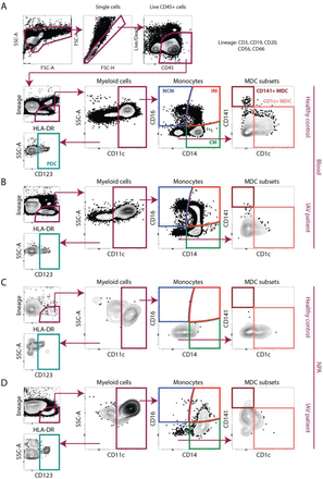 Supplementary Figure 1.