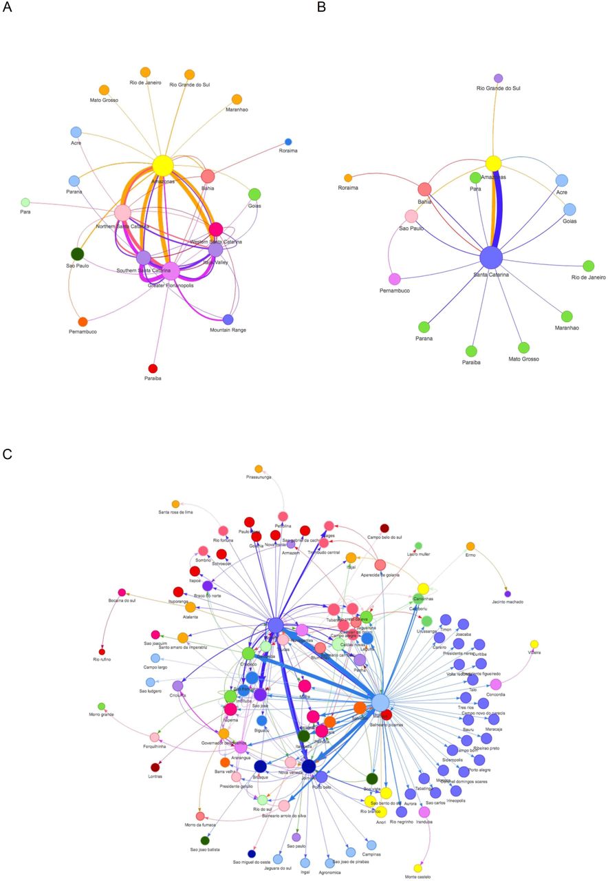 Emergence of two distinct SARS-CoV-2 Gamma variants and the rapid spread of  P.1-like-II SARS-CoV-2 during the second wave of COVID-19 in Santa  Catarina, Southern Brazil | medRxiv