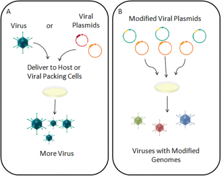 Figure2.