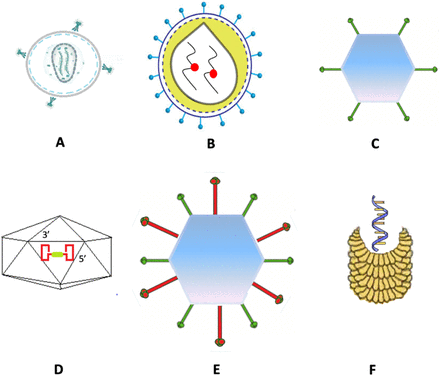 Figure3.