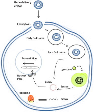 Figure4.