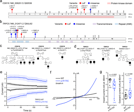 Fig. 6: