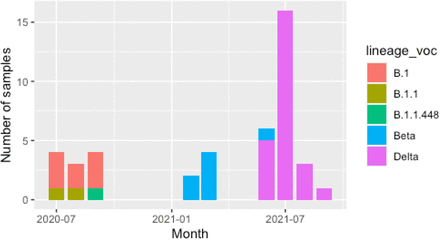 Figure 2: