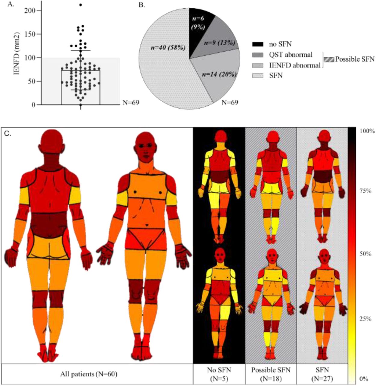 Functional and structural impairment of small nerve fibers in