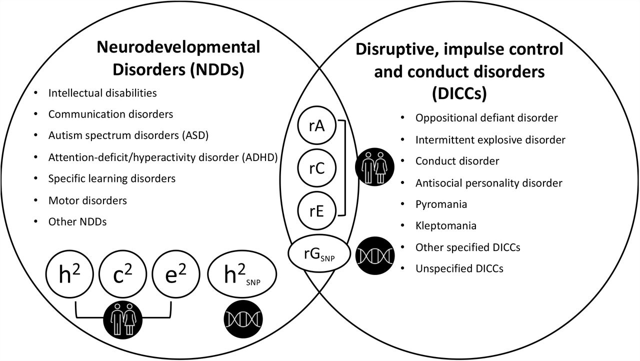 Higher trait neuroticism is associated with greater fatty acid amide  hydrolase binding in borderline and antisocial personality disorders