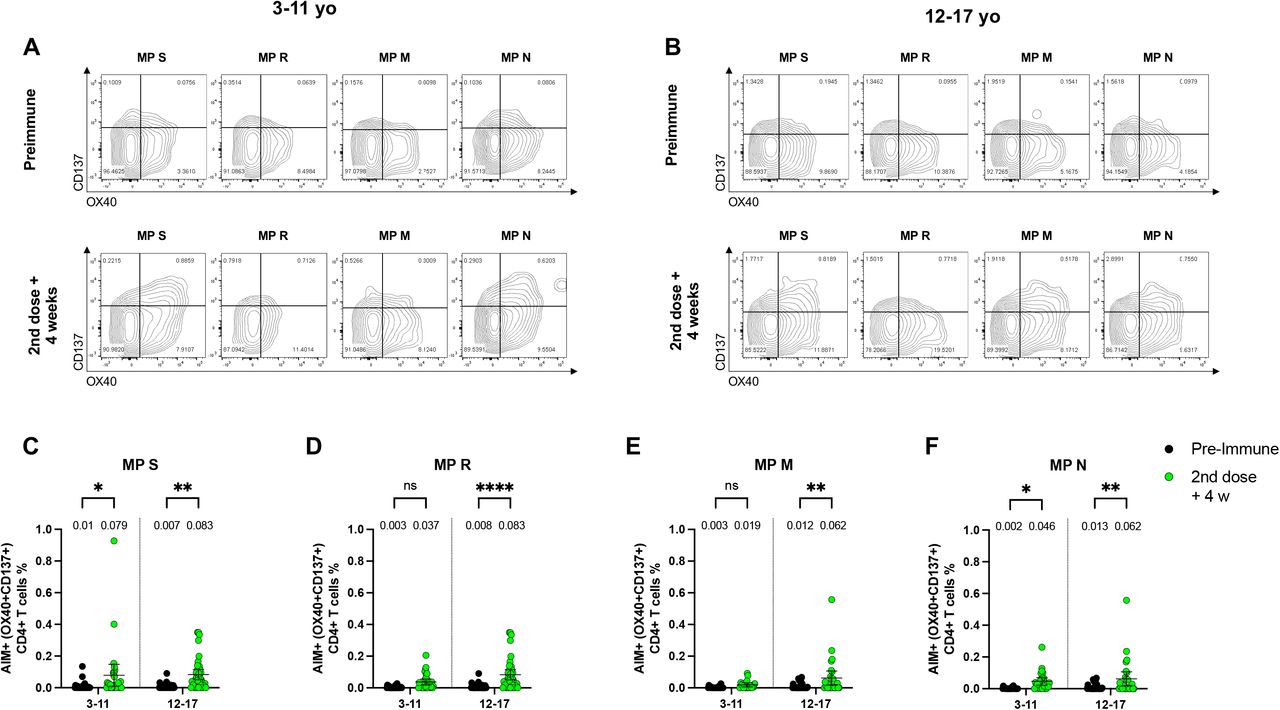 An inactivated SARS-CoV-2 vaccine is safe and induces humoral and 