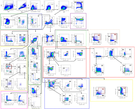 Supplementary Information Figure 1: