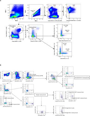 Supplementary Information Figure 2: