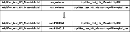 Fig 6.