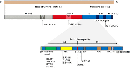 Figure 2: