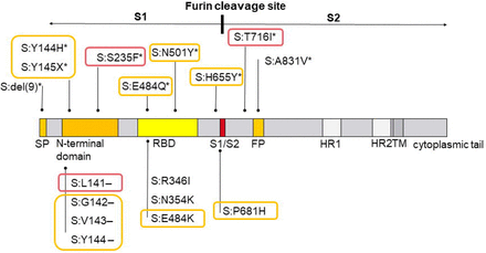 Figure 3: