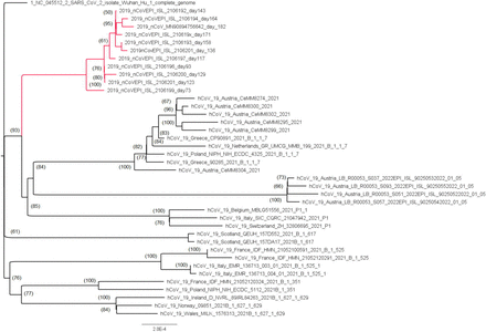 Figure 6: