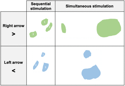 Figure 5: