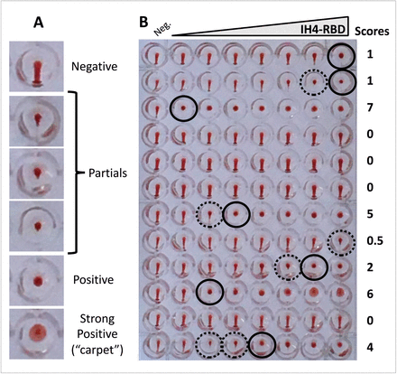 Figure 7: