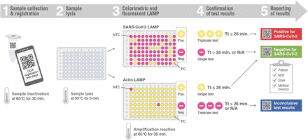 Figure 5.