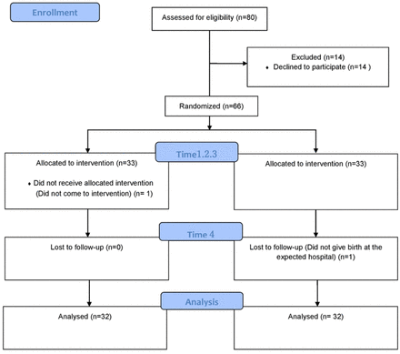 Fig 1.