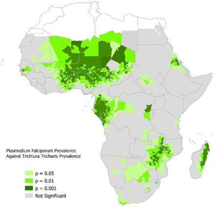 Fig 3B: