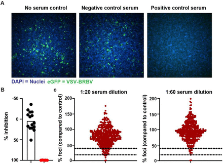 Figure 3: