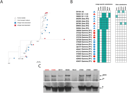 Figure 5: