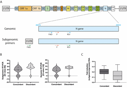 Supplementary Figure 3.