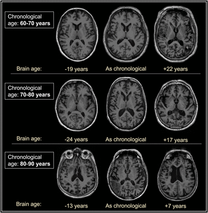 Figure 1: