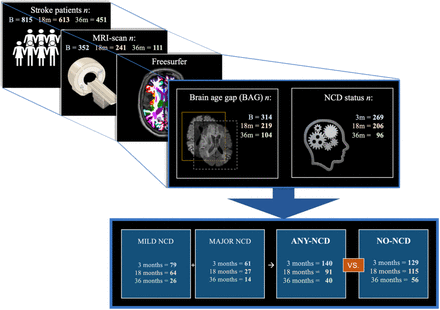 Figure 2: