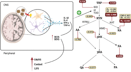 Figure 1: