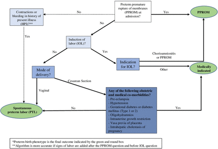 Fig 3.