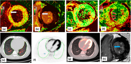 Figure 1: