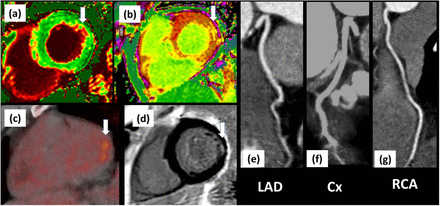 Figure 2: