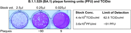 Supplemental Figure 3.