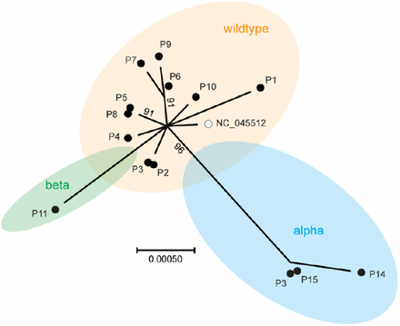 Figure 1: