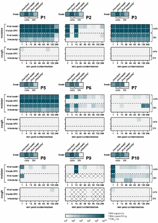 Figure 2: