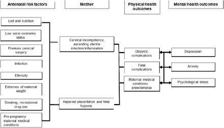 Supplementary Figure 5