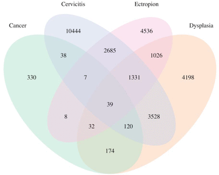 Supplementary Figure 1.