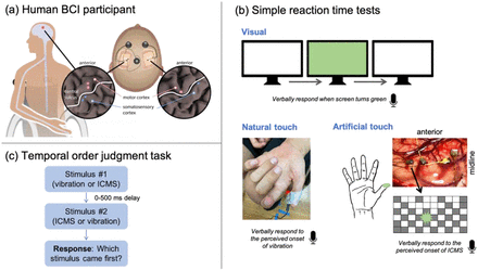 Figure 1: