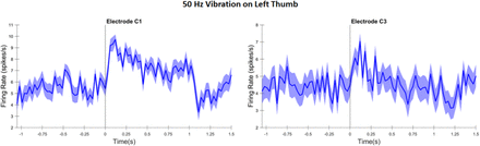 Supplemental Figure 6: