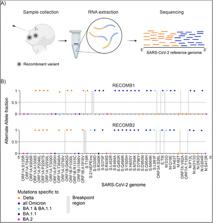 Figure 3: