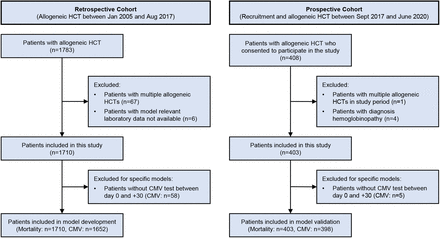 Fig. 7: