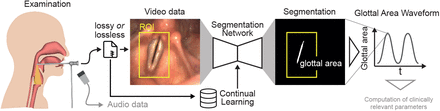 Fig 1.