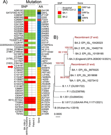 Figure 1.