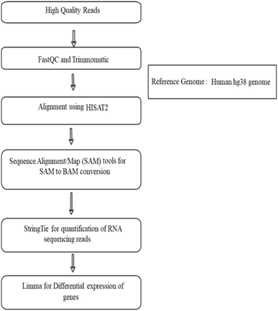 Figure 2: