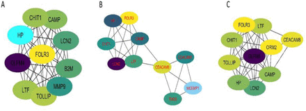 Figure 5: