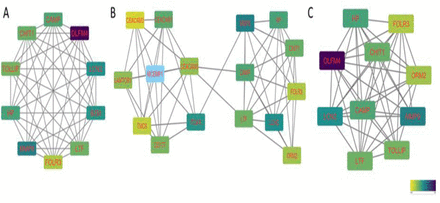 Figure 6: