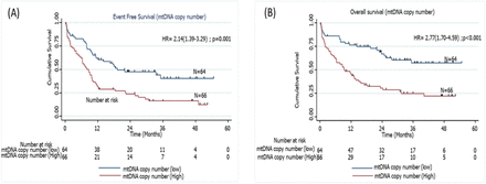 Figure 9: