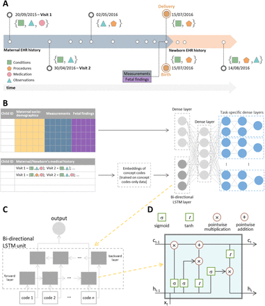 Figure 1: