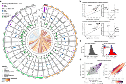 Fig. 4: