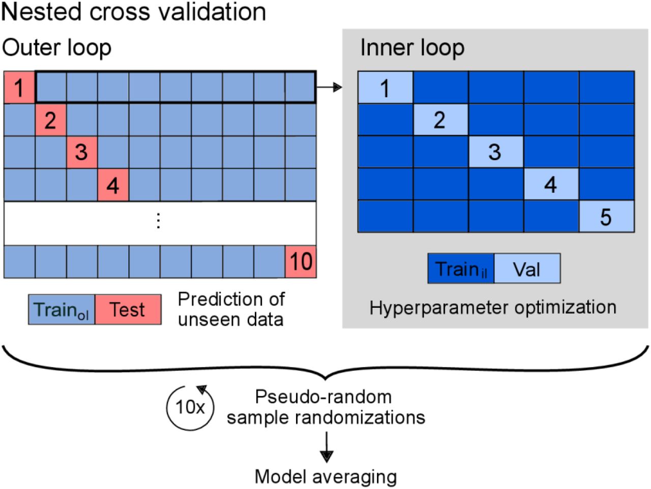 Case 12: left visual'spatial neglect observed in the lime crossing test